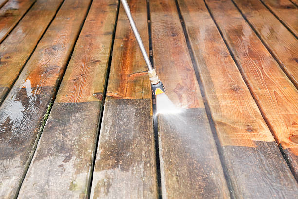 Best Animal Enclosure Cleaning  in Little Falls, MN