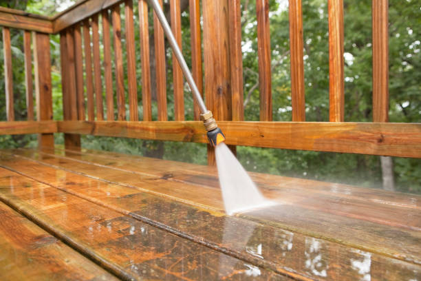 Best Sidewalk and Walkway Cleaning  in Little Falls, MN